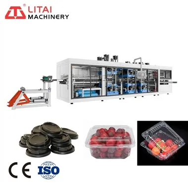 Máquina de hacer cajas de embalaje de frutas de plástico PET