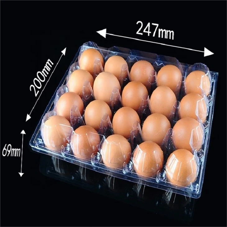 Plastic Egg Container Machine