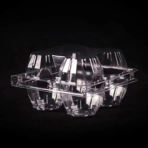 Plastic Egg Container Machine